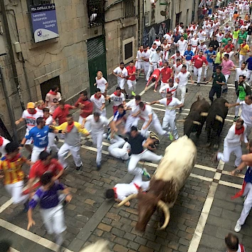 Pamplona Bullrun Tickets - ¡The Bullrun!